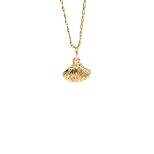 DIJE CONCHA 18K