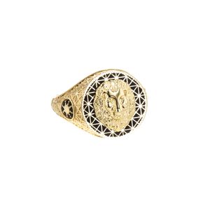 ANILLO LEON TK