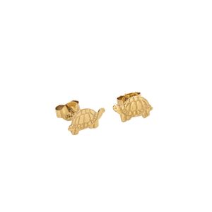 ARETES TOPOS TORTUGA 18K