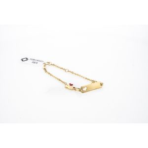 PULSERA CON PLACA Y DIJES TK