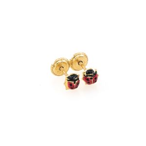 ARETES ORTOPEDICOS MARIQUITA ES