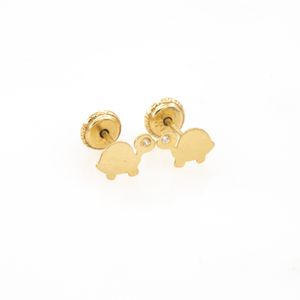 ARETES ORTOPEDICOS TORTUGAS ES
