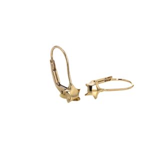 ARETES ZARZILLOS ESTRELLA 18K