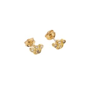 ARETES ORTOPEDICO CORONA
