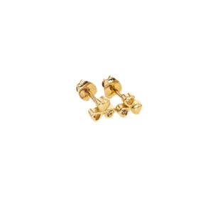 ARETES ORTOPEDICO TREBOL