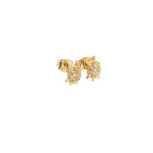 ARETES ORTOPEDICO TORTUGA