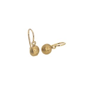 ARETES ZARCILLOS SATINADOS 18K