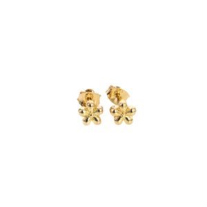 ARETES ORTOPEDICO FLOR