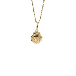 DIJE CONCHA 18K